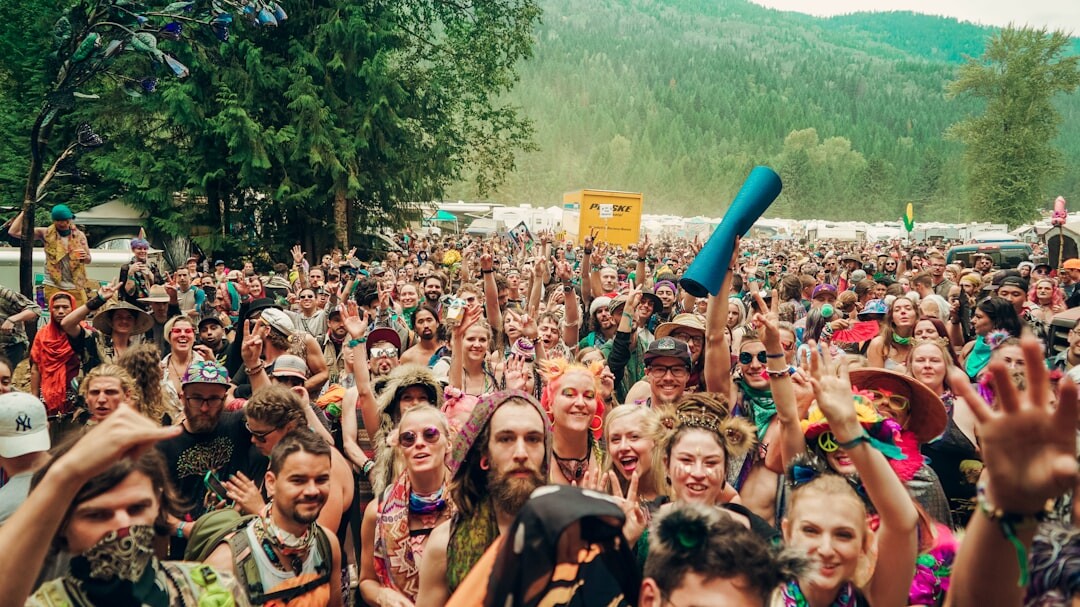 crowd at music festival