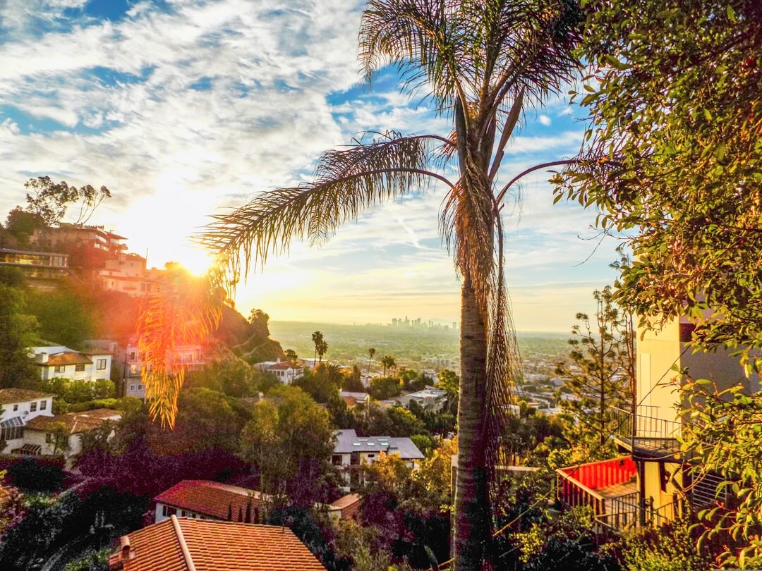 hollywood hills view